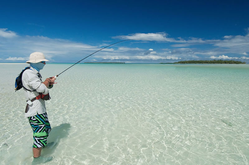 Fly Fishing Tulum