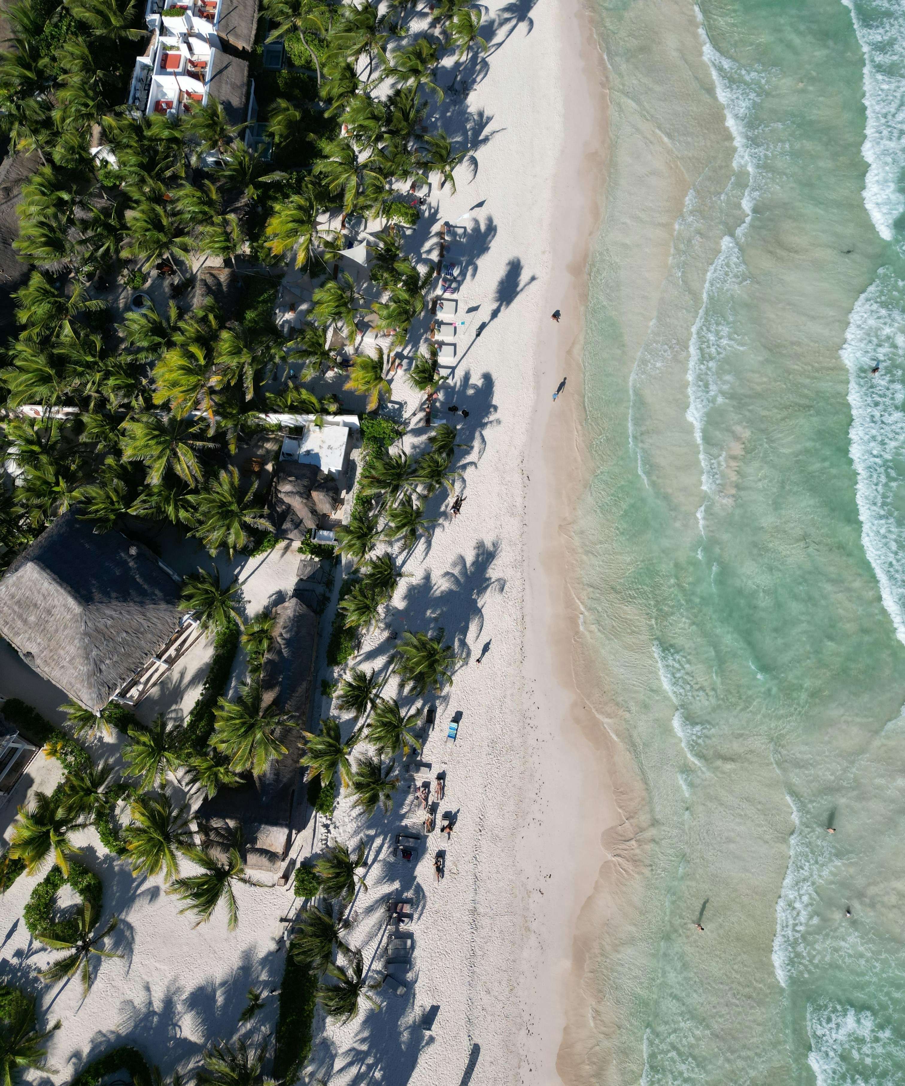 Beautiful aerial view of Tulum's palm-lined beach and turquoise sea in Mexico's Riviera Maya.